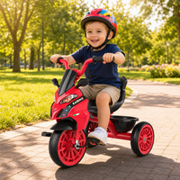 Sepeda Roda Tiga Anak Balita Sepeda Motor Roda 3 Anak-anak Sepeda Roda Tiga Bayi dengan Keranjang Belakang