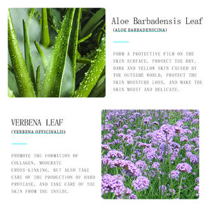 Masque cosmétique ODM 100% naturel, kit facial hydratant, avec extrait de Culture de calus, à effet un printemps - Product Image 5