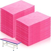 Drap de lit jetable non tissé imperméable pleine grandeur 80x180 pour les établissements de soins, les massages, les examens, les spas et les voyages