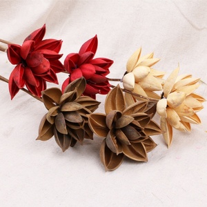 C269 Nhiếp Ảnh Trang Chủ Trang Trí Hoa Schima Superba Hoa Thật Khô Tự Nhiên Trung Quốc Redbud Để Bán - Product Image 3