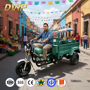 Triciclo de Gasolina DVIP, Motocicleta de Carga Pesada, Triciclo de <span class=keywords><strong>Gasoil</strong></span> de 3 Ruedas, 110CC, <span class=keywords><strong>para</strong></span> Desplazamientos Diarios - Product Image 1