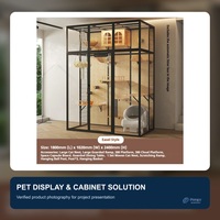 Villa pour chat panoramique de luxe moderne et écologique en verre, avec structure en bois massif et fer, maison d'intérieur pour animaux, griffoir pré-assemblé