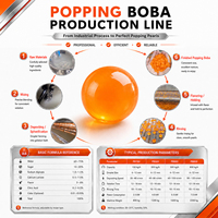 Ligne de production clé en main de boba éclatante avec formule de matières premières, formation complète, ensemble complet d'équipements pour la fabrication de boba éclatante