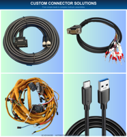 Rangkaian Kabel Harness Kustom dengan Isolasi Nylon/PBT/Karet, Kelas IP66, Kawat Tembaga Berlapis Timah untuk Otomotif, E-bike, dan Elektronik