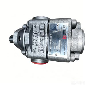 QX QX21 QX41 QX82 QX23 QX33 QX43 QX53 QX63 QX83 QX ปั๊มเกียร์ภายในไฮดรอลิกแรงดันสูง QX21-012R112-Y ปั๊มน้ำมัน - Product Image 4