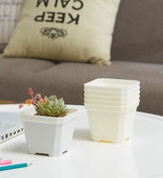 Pots de pépinière carrés transparents écologiques en plastique pour la plantation à la maison et au jardin