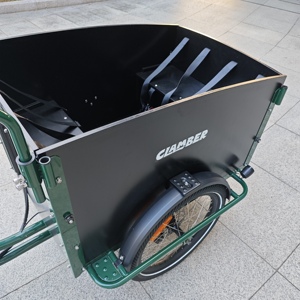Vélo cargo électrique pour transporter des marchandises pour enfants Animaux <span class=keywords><strong>de</strong></span> compagnie pour faire la navette Pique-nique Shopping Améliorer la relation entre les membres <span class=keywords><strong>de</strong></span> la famille - Product Image 5