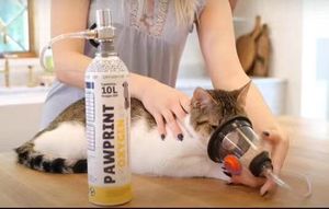 YSH <span class=keywords><strong>Veterinaria</strong></span> Conveniente y práctico para la anestesia en diferentes tamaños Veterinario Hospital Clínica Set Máscara de respiración de oxígeno - Product Image 6