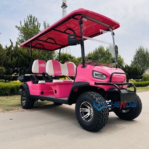 Custom Pink Electric Golf Cart 48V Battery Sightseeing Off-Road Vehicle - Product Image 6