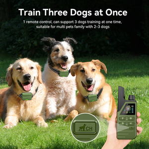 <span class=keywords><strong>Collier</strong></span> de dressage électrique télécommandé <span class=keywords><strong>pour</strong></span> <span class=keywords><strong>chiot</strong></span>, <span class=keywords><strong>collier</strong></span> d'arrêt d'aboiement étanche et rechargeable, dispositif anti-aboiement - Product Image 5