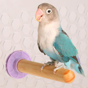 Commercio all'ingrosso di altri giocattoli per animali domestici giocattoli durevoli del bastone di legno del pappagallo dell'uccello - Product Image 2