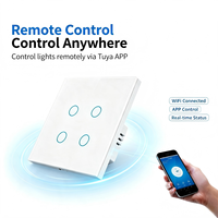 Interruttore a Muro Touch WiFi Tuya con Filo Singolo, Cornice in Ferro, Supporto Telecomando, Timer, Condivisione con Alexa, Yandex, Alice, Smart Home