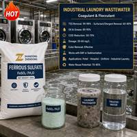 Sulfato de Hierro de Grado Premium, Sulfato Ferroso, Agente Deshidratante en Polvo, 99.99% de Pureza, No Tóxico, Manipulación Segura, Fácil Almacenamiento