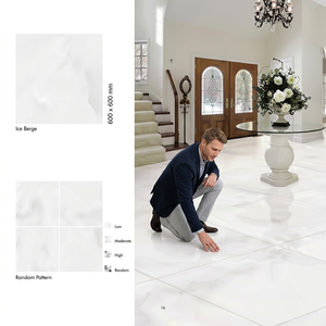 Ice Light 600x600mm Glossy Polished Porcelain Tiles Marble Effect Interior Floor Design Premium - Product Image 4