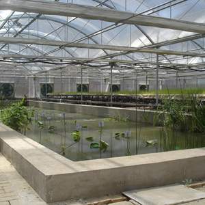 Mesa Hidropónica para Semilleros, Mesa <span class=keywords><strong>de</strong></span> Cultivo Flotante <span class=keywords><strong>de</strong></span> 4x8, Mesa <span class=keywords><strong>de</strong></span> Flujo y Reflujo - Product Image 3
