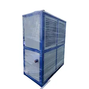 FNVB tipo Fnu unità di condensazione per celle frigorifere/unità di raffreddamento industriale Bitzer compressore unità di condensazione FNVB