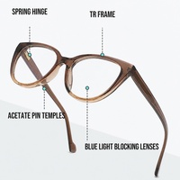 Lunettes optiques œil-de-chat élégantes à imprimé moderne, monture en acétate TR, anti-lumière bleue, charnière à ressort, pour usage quotidien, vente en gros