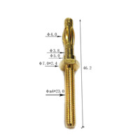 Prise banane personnalisée Amplificateur de haut-parleur Terminal Services d'usinage Acier inoxydable Cuivre Laiton Perçage CNC Brochage Reliure