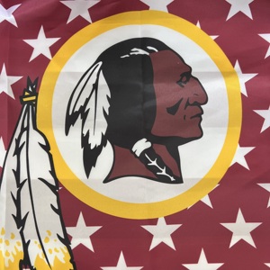 Tùy chỉnh Cờ Mỹ thiết kế 32 nflteams Philadelphia Đại Bàng 90*150cm trong nhà và ngoài trời hiển thị cờ Polyester biểu ngữ - Product Image 5