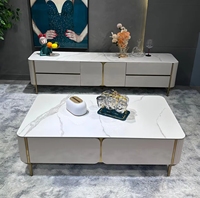 Ensemble de table basse et de meuble TV en marbre brillant moderne, ventes chaudes pour un usage domestique, meubles en bois et en fer pour le salon extérieur