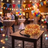 Guirlande lumineuse LED de noël 12V, fil de cuivre, 10m, 100led, éclairage de décoration