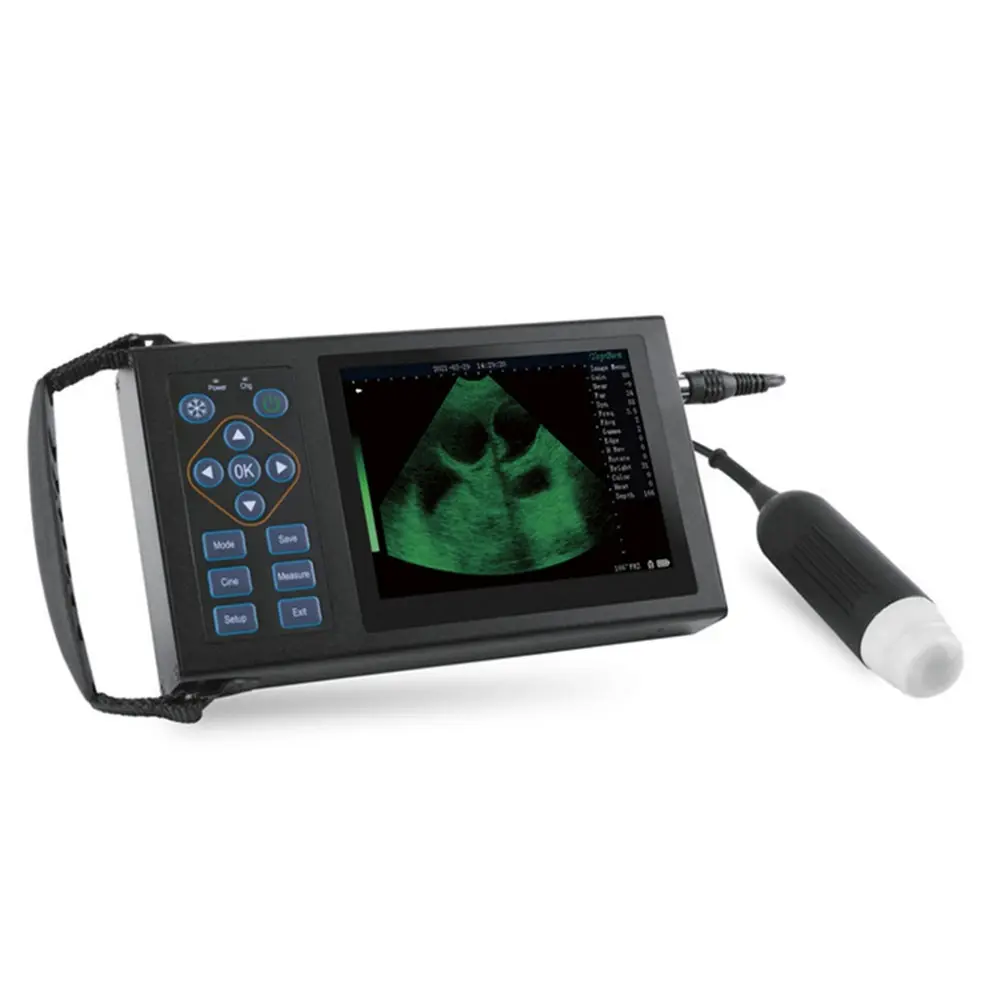 ICEN Pet Dog Pig Sheep Pregnancy Ultrasound Scanner Veterinary Vet Ultrasound Portable Machine Animal Ultrasound