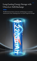Piles rechargeables NiMH AA GONODY 1,2 V 2200 mAh avec étui de charge Type C en stock