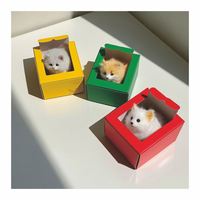 Boîte de couleur d'emballage en papier pour lunettes de soleil vente en gros