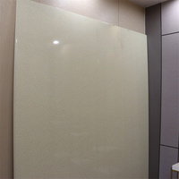 Paneles de Techo de PVC Impermeables e Ignífugos, Rejilla para Techo, Fáciles de Instalar, Ecológicos, para Baños, Cocinas, Hospitales, Comercios y Residencias
