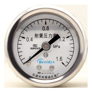 Manomètre Bread YN40Z 0-1,6 MPa résistant aux vibrations, hydraulique, eau, pneumatique, connexion filetée 40 mm - Product Image 1