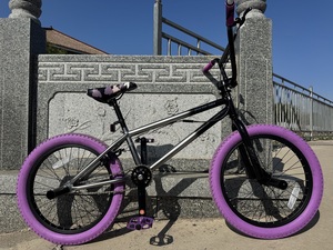 Bicicleta <span class=keywords><strong>BMX</strong></span> Mini de Estilo Nuevo con Llanta de Aleación de 20 Pulgadas y Cuadro de Acero, <span class=keywords><strong>Precio</strong></span> de Bicicleta <span class=keywords><strong>BMX</strong></span> de 20 Pulgadas para Freestyle y Calle en Venta - Product Image 3