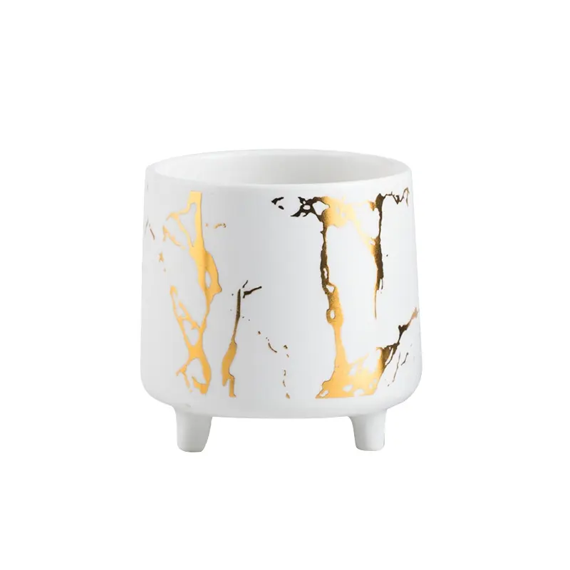 Maceta suculenta con personalidad creativa, jarrón de estilo de explosión cruzada, ins, luz nórdica de lujo, cerámica pequeña redonda dorada
