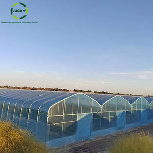 Low Cost Green House Acessórios Conjunto inteiro Portas deslizantes Painéis De Policarbonato Agricultura Estufas - Product Image 4