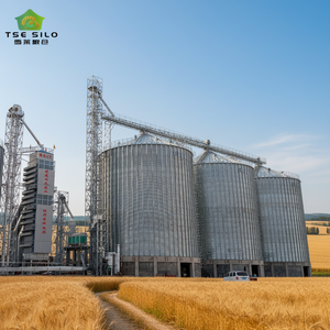 Grand silo à grains professionnel SolisFer en acier galvanisé, assemblé par boulons, pour le <span class=keywords><strong>stockage</strong></span> <span class=keywords><strong>de</strong></span> céréales et d'aliments, capacité 150-10000 tonnes - Product Image 1