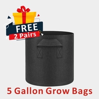 Lámpara de Cultivo Risen HPS de 1000 Vatios, Lámpara de Cultivo Gavita Pro HPS de Doble Extremo de 1000 Vatios con Balastro Electrónico