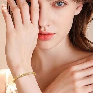 Pulsera de bambú chapada en oro de estilo chino, joyería geométrica con microincrustaciones para mujer, regalo SLG 009 - Product Image 1