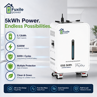 Système de stockage d'énergie tout-en-un LiFePO4 5,12 kWh 6200 W, 6000 cycles, sortie onde sinusoïdale pure, prêt à l'emploi, avec roulettes mobiles
