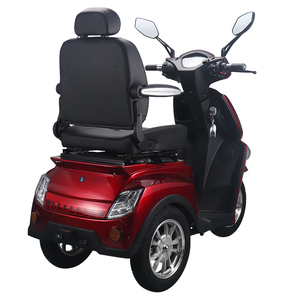 Práctico Triciclo Eléctrico VISTA-3 con Motor sin Escobillas de 60V/1000W y Diseño de Carrocería Abierta - Product Image 4