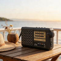 Radio solaire portable personnalisée OEM certifiée CE, vente en gros d'usine, avec lumière LED de nuit, lecteur USB BT, bandes AM/FM/SW