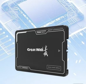 महान दीवार gw600 sd sata <span class=keywords><strong>3</strong></span>.0(6 gps) 3d nand tlc क्षमता 128g/256g/512g/1t/2t पढ़ने की गति 550 mb/s, चिकनी गेमिंग हार्ड ड्राइव - Product Image 6