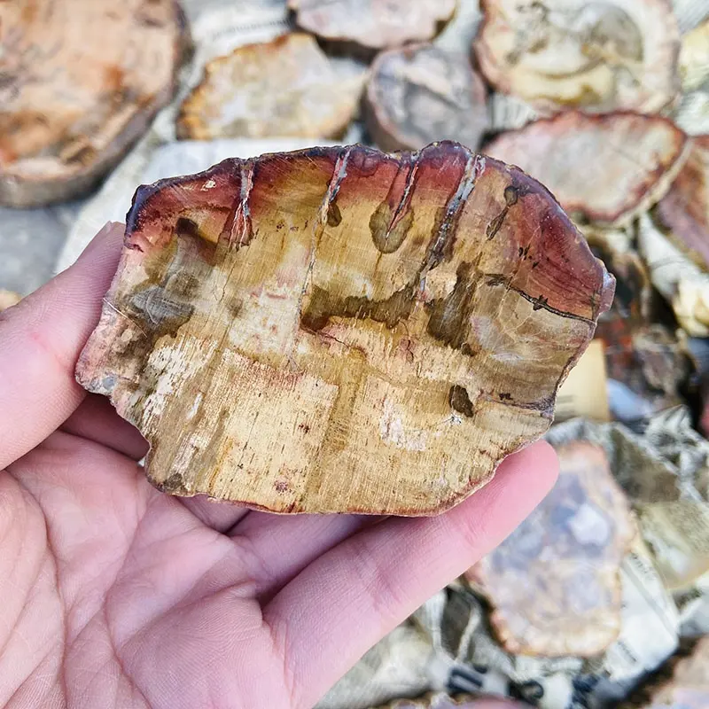 Atacado natural polido madeira fóssil slab petrificado áspero pedra fatiar espécie para decoração