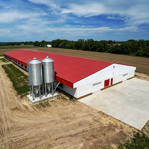 Windproof Seismic Resistant Modern Steel Structure Farm <strong>House</strong> <strong>Chicken</strong> <strong>House</strong> Prefab Poultry Shed Customization - Product Image 6