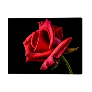 Picture Print Custom Design Beautiful Red Flower Rose Painting Picture Canvas Printing For Wall Hanging