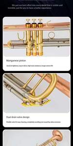 Fabrika doğrudan profesyonel performans b-ton küçük bant trompet türler için mükemmel - Product Image 2