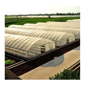 Équipement de serre de Tunnel agricole 40x8m à vendre serre chinoise