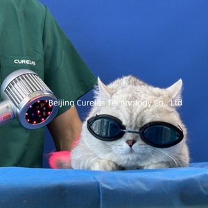 Perangkat terapi Laser genggam dokter hewan portabel untuk Headling - Product Image 1