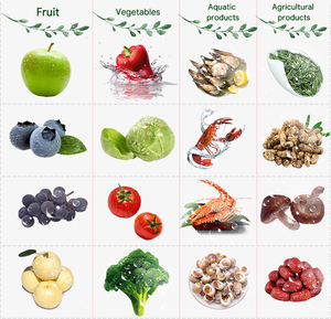 Agua <span class=keywords><strong>de</strong></span> refrigeración 500 kg/h Ensalada Vegetales y frutas Limpieza <span class=keywords><strong>de</strong></span> burbujas <span class=keywords><strong>de</strong></span> aire Lavadora para granja y huerto Máquina <span class=keywords><strong>de</strong></span> secado - Product Image 4