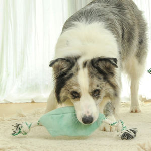 Toptan lüks sürdürülebilir gıcırtılı dolması halat köpek oyuncaklar sert köpek oyuncak paketi peluş bezelye - Product Image 3