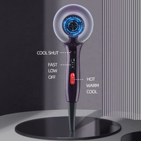 Souffleur de cheveux de salon ABS 2000W Sèche-cheveux ionique à température constante OEM pour la maison