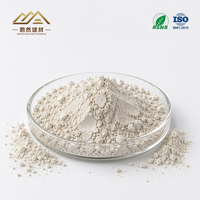 Additif pour peinture au latex en sac jumbo, argile bentonite, revêtements à base d'eau, 1250 mesh